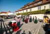 Festival der Alte Rebe beginnt