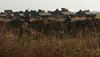 ZN: Razmere v Gazi postajajo nevzdržne. Izraelska vojska napovedala 