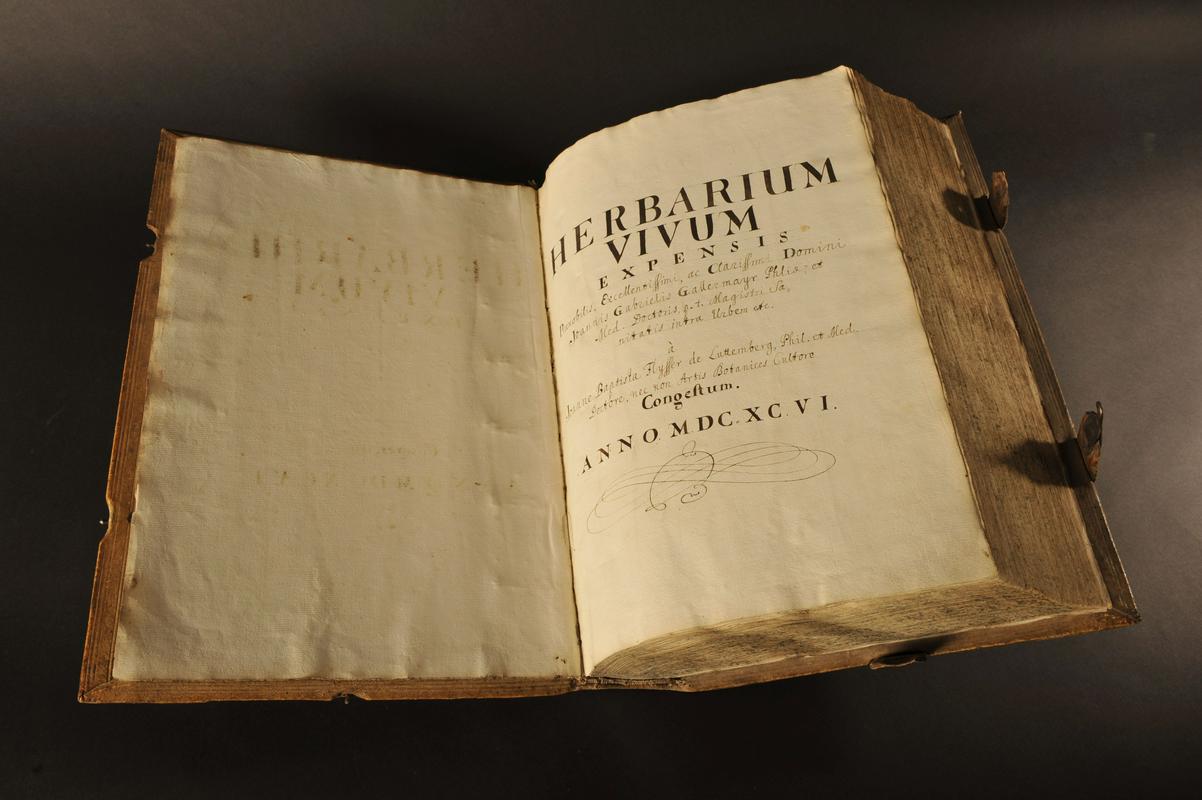 Herbarijska knjiga Janeza Krstnika Flysserja, 1696; hrani Prirodoslovni muzej Slovenije. Foto: Ciril Mlinar