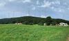 Pohorske občine pričakujejo ustavitev postopkov za vetrne elekrarne