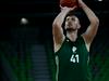 Jeseniški nomad okrepil centrsko vrsto Cedevite Olimpije