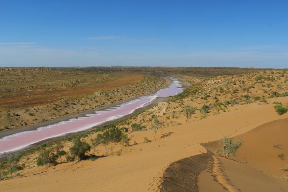 Cold Winter Deserts of Turan je ekosistem, ki se razteza na 1500 kilometrih v Kazahstanu, Uzbekistanu in Turkmenistanu. Foto: A. Pavlenko