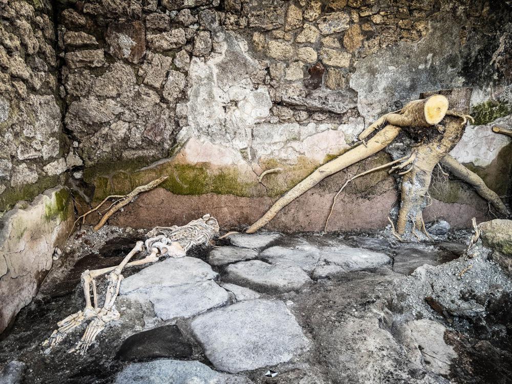 Med posmrtnimi ostanki žrtev, ki so se ob izbruhu vulkana zatekle v pekarno, so arheologi odkrili dve ženski in eno otroško okostje. Foto: EPA