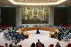 Žbogar v Varnostnem svetu ZN-a Rusiji očital dvojna merila in pozval k miru 