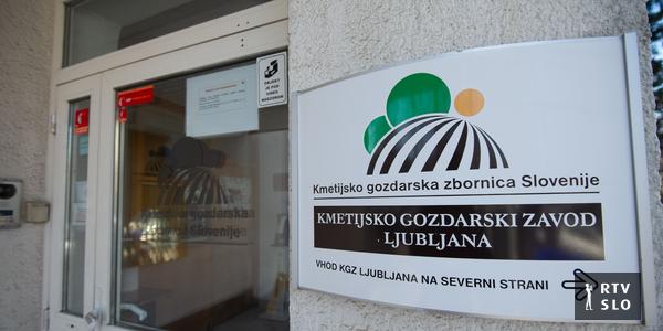 www.rtvslo.si