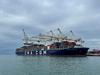 V Luko Koper prispela 366 metrov dolga ladja francoskega ladjarja CMA CGM