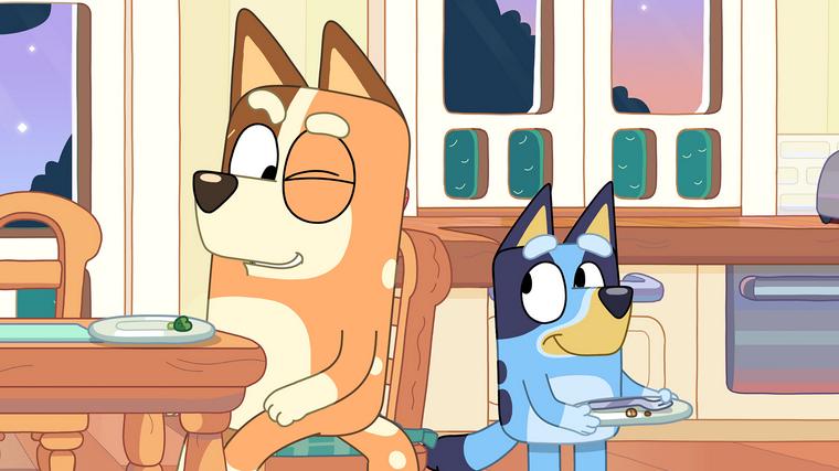  Foto: iz risanke Brina