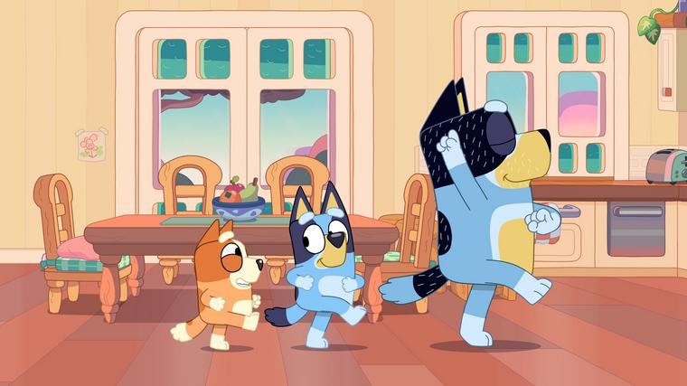  Foto: iz risanke Brina