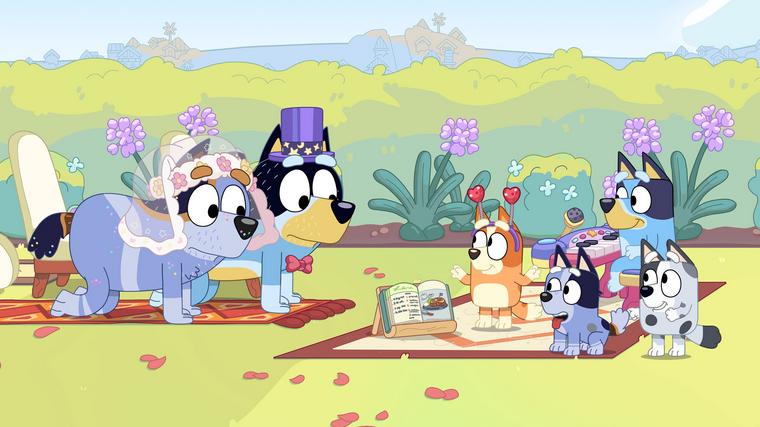  Foto: iz risanke Brina