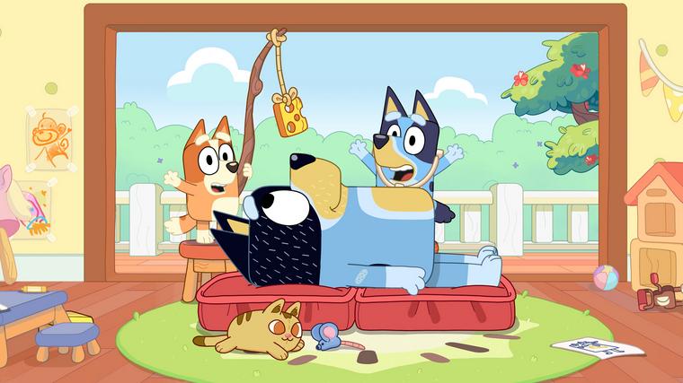  Foto: iz risanke Brina