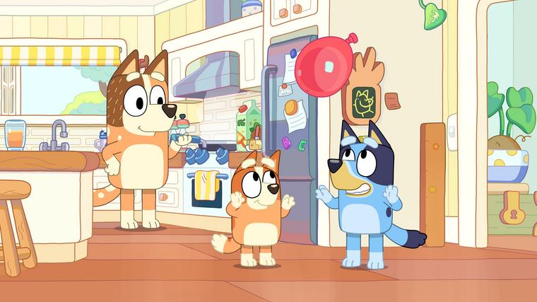  Foto: iz risanke Brina