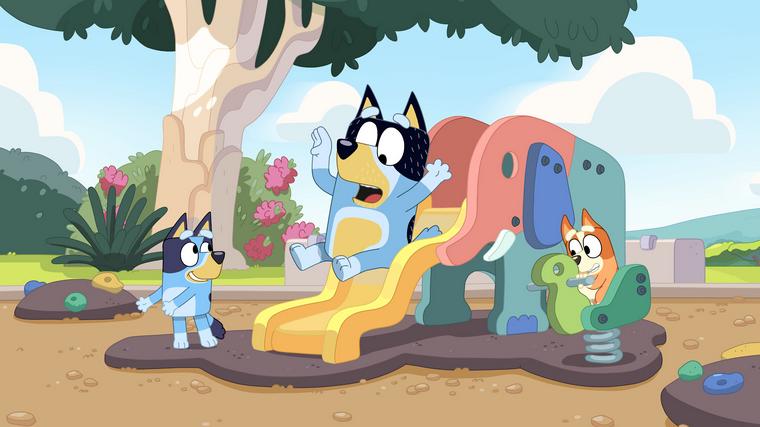  Foto: iz risanke Brina