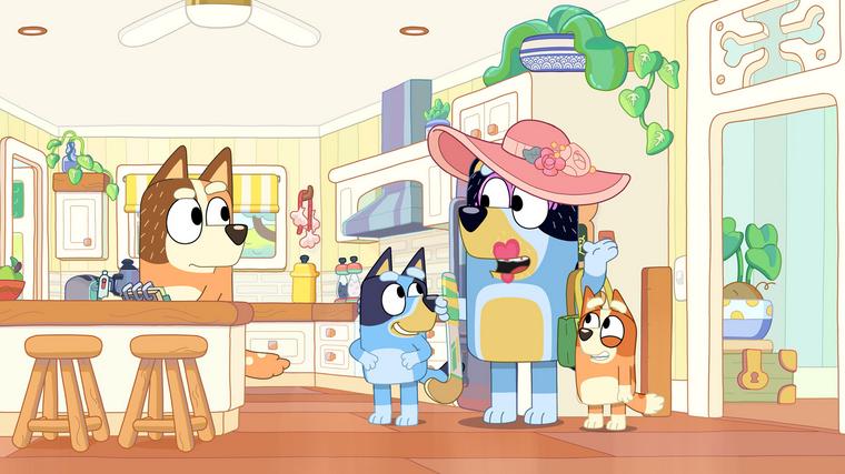  Foto: iz risanke Brina