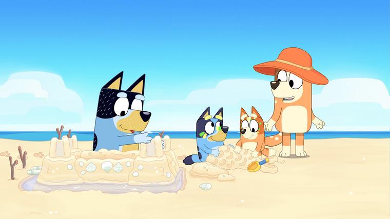  Foto: iz risanke Brina