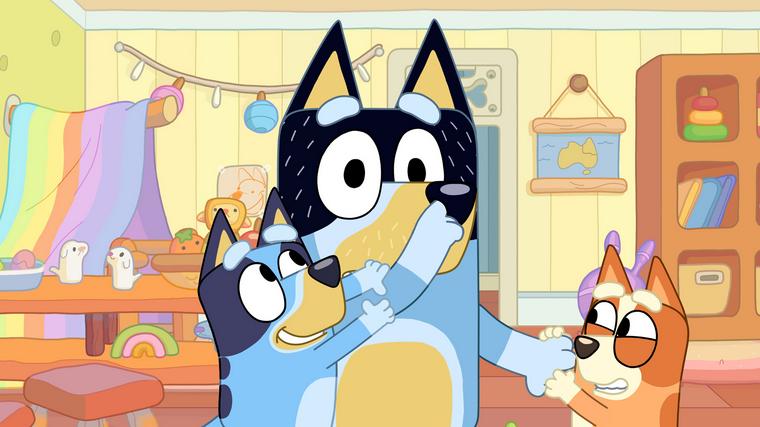  Foto: iz risanke Brina