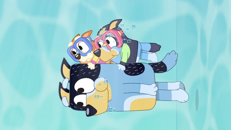  Foto: iz risanke Brina