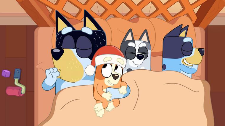  Foto: iz risanke Brina