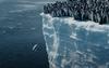 Mladiči cesarskih pingvinov v ocean skočili s 15-metrske ledene gore