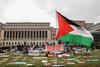 Proteste pro-Palestina nelle università americane