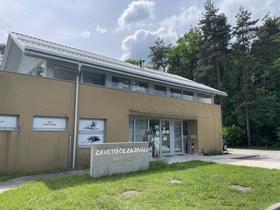 Zavetišče za živali Maribor, Avtomobilska ulica 25, Maribor. Telefon: 02 480 16 60. Foto: MMC RTV SLO/Maša Mesarec
