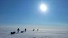 Oglašanje z Grenlandije: Snežno neurje, smučanje v beli škatli in živalski obiski