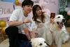 Na Kitajskem vztrajno narašča število porok – ne človeških, ampak pasjih