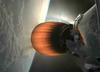 Hitra vrnitev Falcona 9, fotografija eksoplaneta in leopardove pege na Marsu