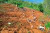 ZN: Število žrtev zemeljskega plazu na jugu Etiopije bi lahko naraslo na 500