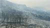 S požari v Dalmaciji se bojuje 500 gasilcev
