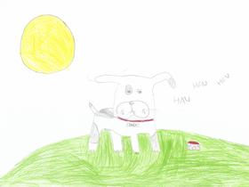 Mark Hentl Foto: Radio Slovenija/Radio Slovenija