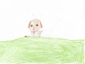 Mai Hentl Foto: Radio Slovenija/Radio Slovenija