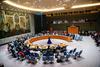 Slovenia assumes the presidency of the UN Security Council