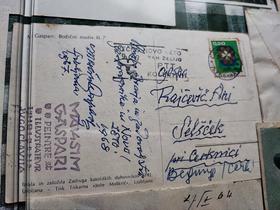 Originalne razglednice, ki sta si jih pisala Jožko Meden in Maksim Gaspari. Foto: Tanja Mojzer