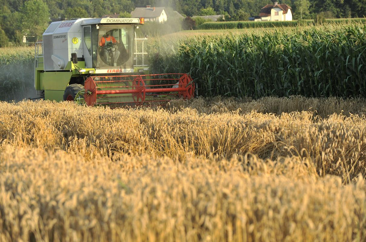 Čalušić: Pričakujemo, da bodo učinki sporazuma EU-ja z Mercosurjem za Slovenijo pozitivni