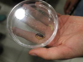  Foto: Mestna knjižnica Ljubljana