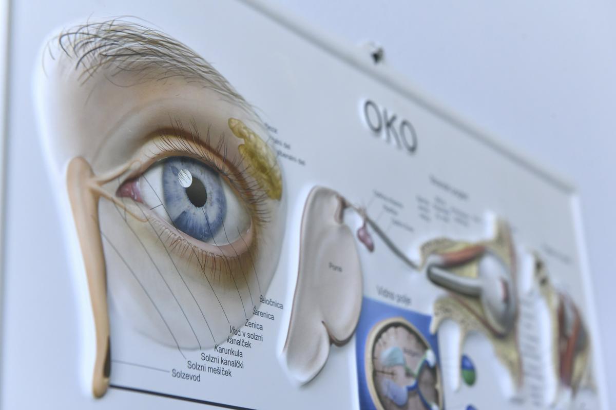 Oftamologi: Najbolj varno, če starši otrokom igrač z laserskimi žarki ne kupujejo