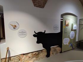 Razstava Pravljična tehnika v Tehniškem muzeju Slovenije Foto: Tanja Mojzer