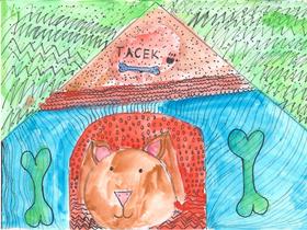 Mark Damjan Maček Foto: Radio Slovenija/Radio Slovenija