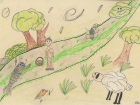 Dalija Vehebović Foto: Radio Slovenija/Radio Slovenija