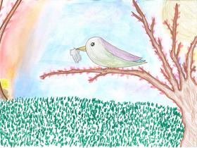 Anuša Jurjavčič Foto: Radio Slovenija/Radio Slovenija