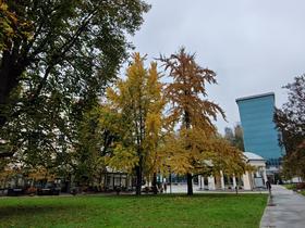 Sprehod po Rogaški Slatini Foto: Tanja Mojzer