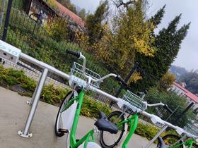 Sprehod po Rogaški Slatini Foto: Tanja Mojzer