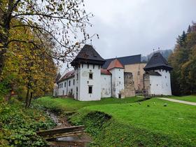 Foto: Tanja Mojzer