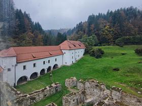 Foto: Tanja Mojzer