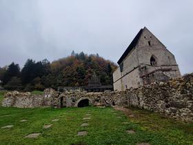 Foto: Tanja Mojzer