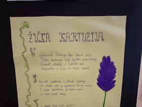 Foto: Tanja Mojzer