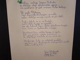 Foto: Tanja Mojzer