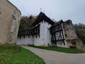 Foto: Tanja Mojzer