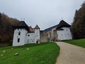 Foto: Tanja Mojzer