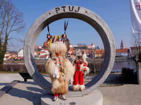 Kurenti na foto kotičku ob pešmostu z veduto Ptuja (najbolj znanim pogledom Ptuja Foto: BoBo/Borut Živulović